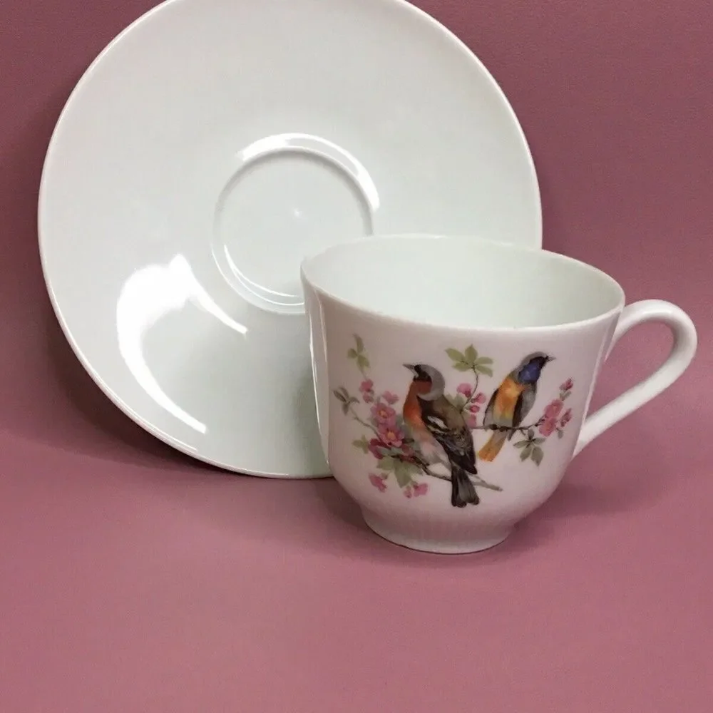 Schumann Arzberg White/Pink Birds Theme Tea Cup &‎ Saucer Set  Bavaria Germany